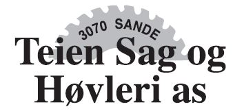 Teien Sag